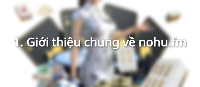 giới thiệu nohu.fm