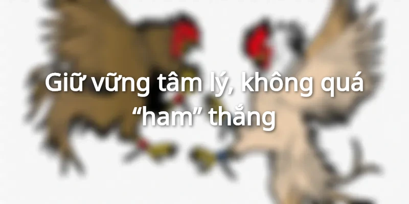 Cùng nghiên cứu các mẹo đánh nổ hũ Mibet hiệu quả.