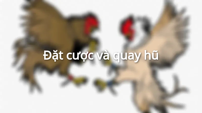 Cách tham gia đặt cược tại nổ hũ Sunwin