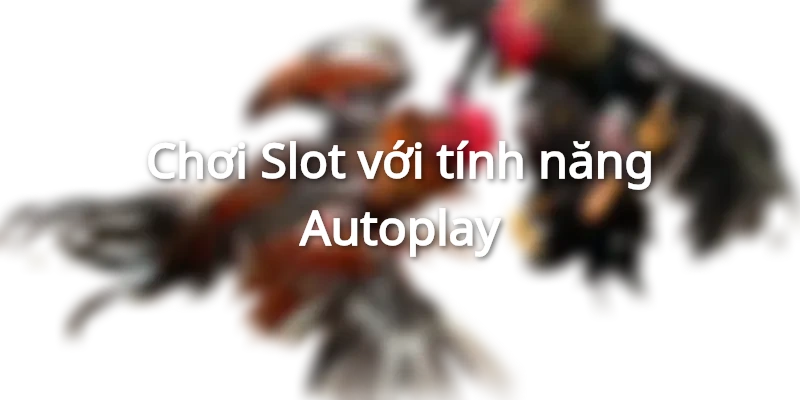Sử dụng tính năng Autoplay để quay nổ hũ liên tục