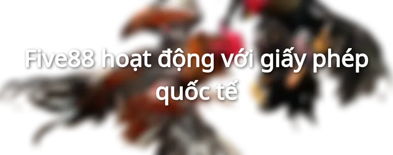 five88 bị bắt