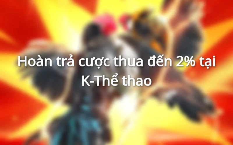 Nhận hoàn trả cược thua tỷ lệ cao đến 2% khi đặt cược cùng K-Thể thao