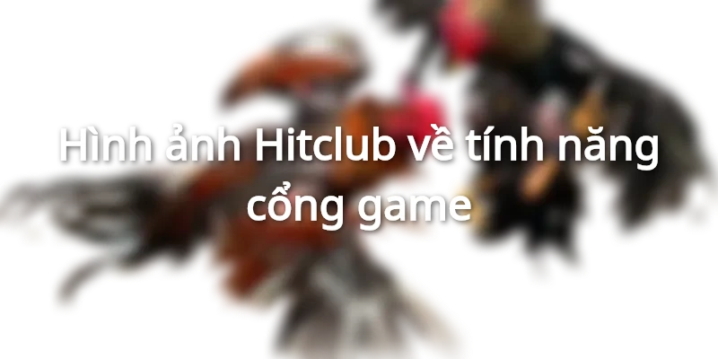 Hỗ trợ cài đặt trong hệ thống của Hitclub