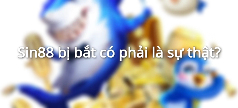 Sin88 bị bắt