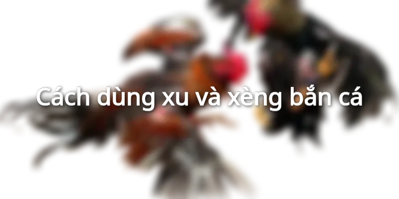 Bạn phải nắm được các loại đạn
