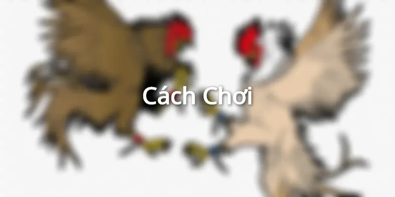 Cách chơi bài Xì Tố
