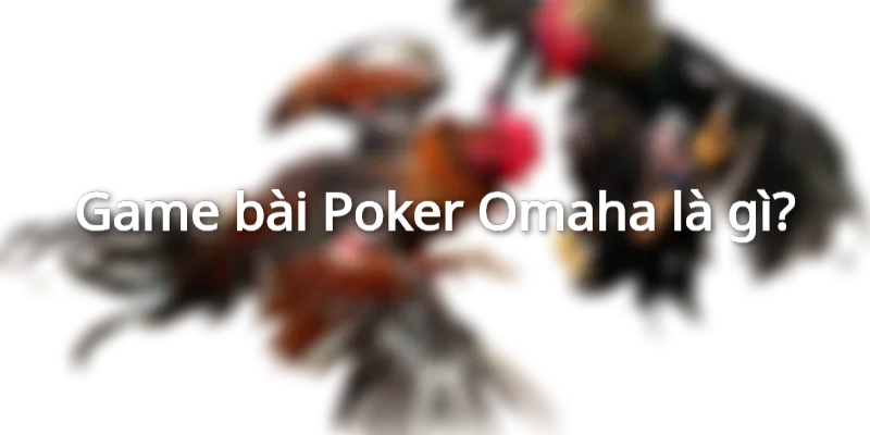 Game bài Poker Omaha mang đến trải nghiệm chiến thuật hấp dẫn