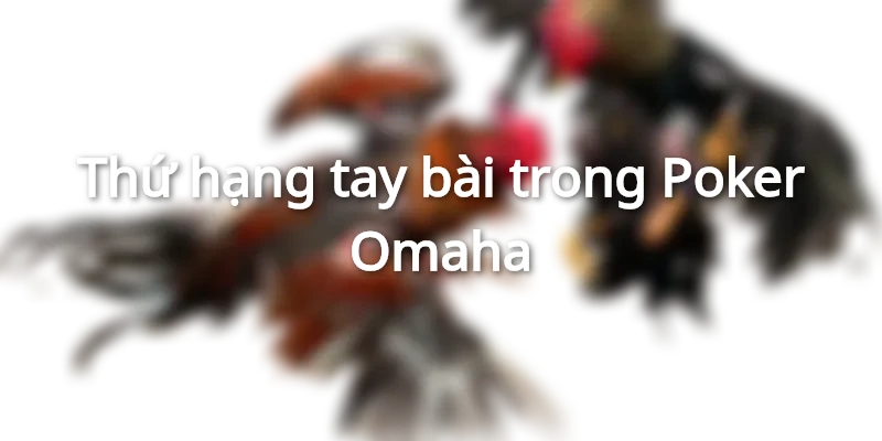 Khám phá luật chơi game bài Poker Omaha tại Nohu FM