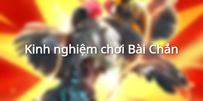 Mẹo chơi Bài Chắn thắng lợi